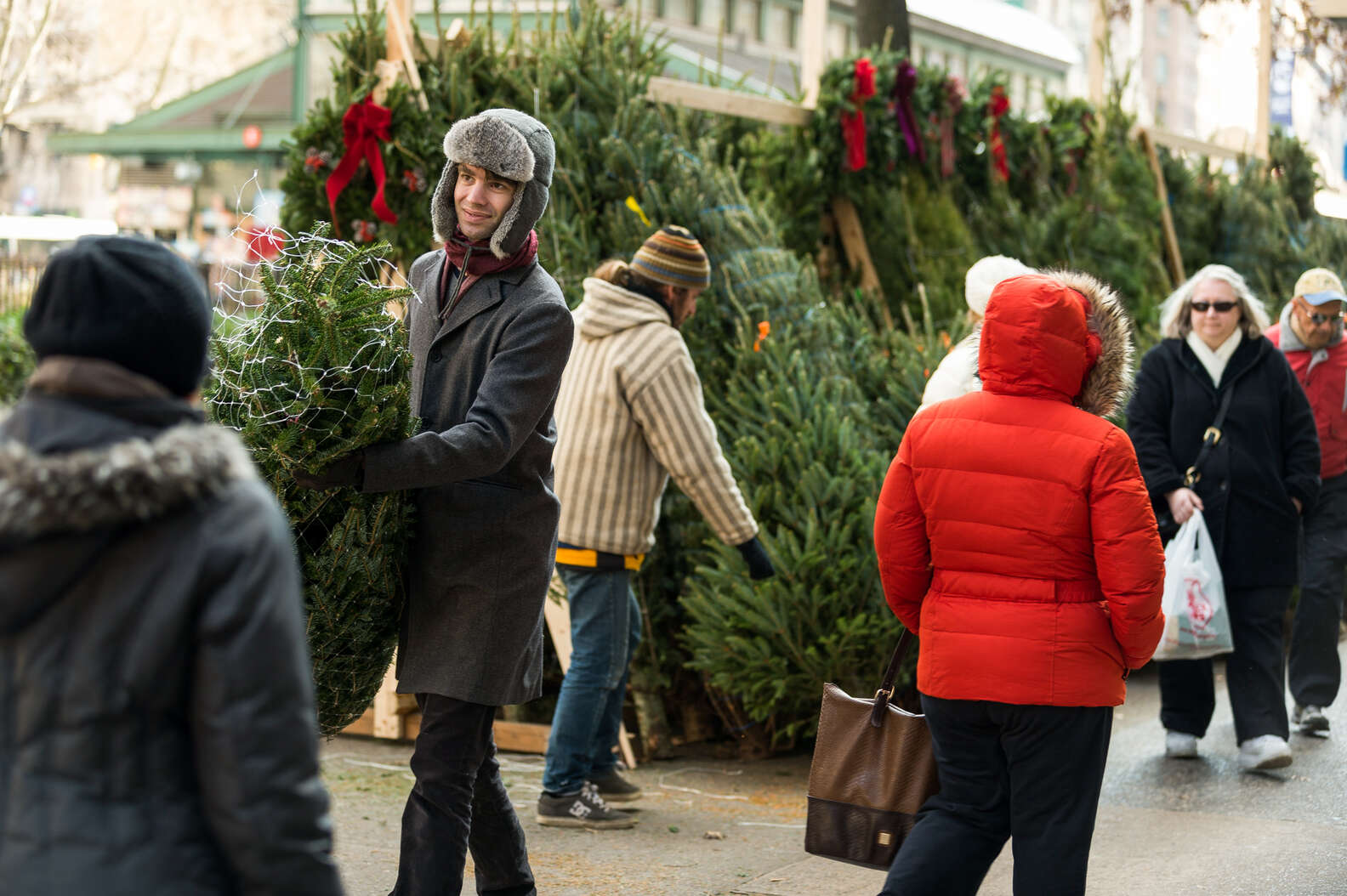 Christmas Trees in NYC Where & How to Find the Perfect Christmas Tree