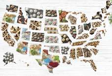 These Are the Most Popular Holiday Cookies in Every State