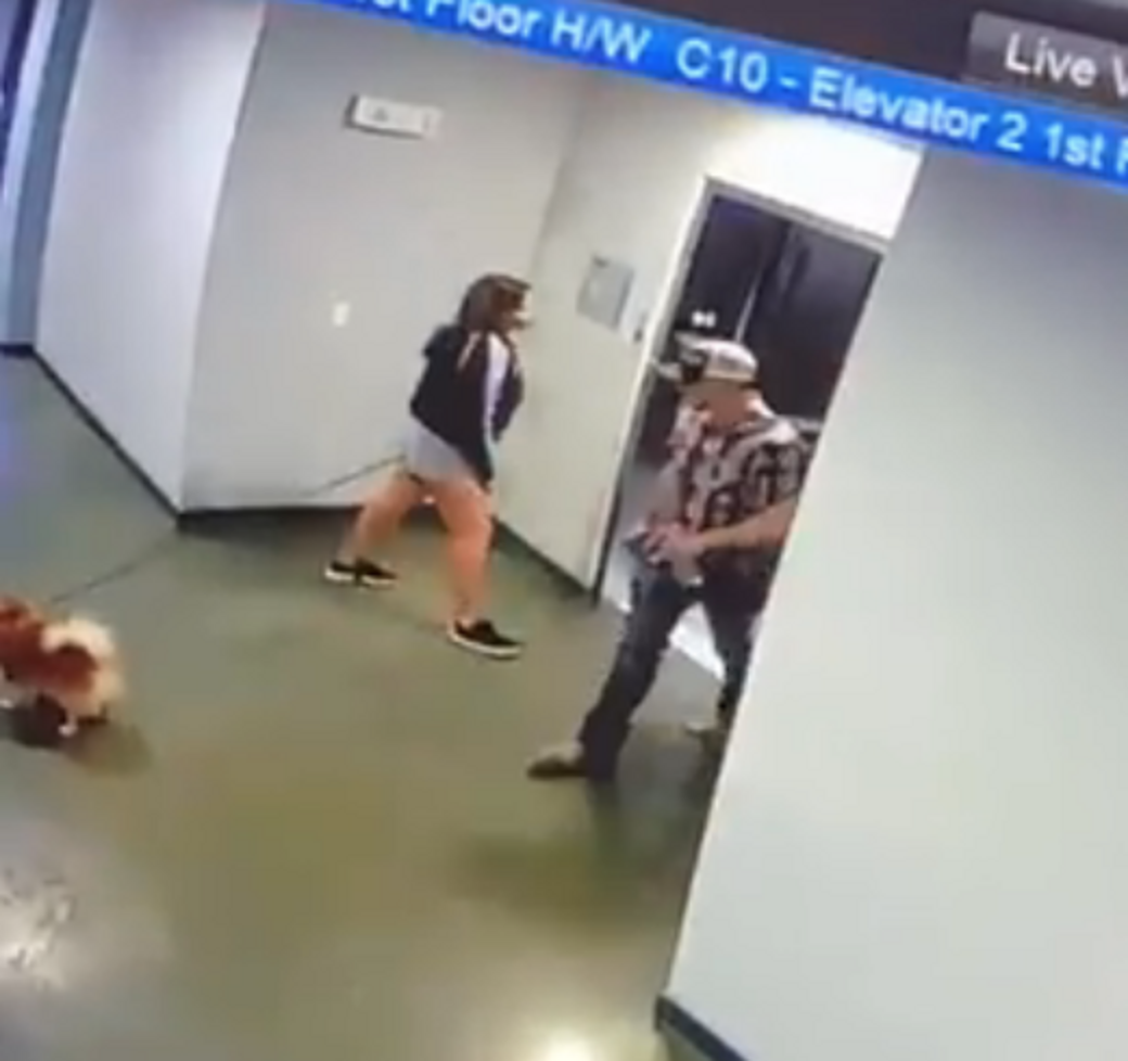 Video Shows Guy Rushing To Save Dog With Leash Trapped In Elevator