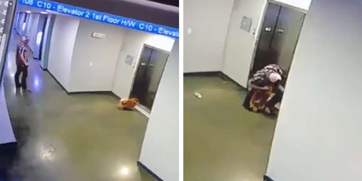 Video Shows Guy Rushing To Save Dog With Leash Trapped In Elevator