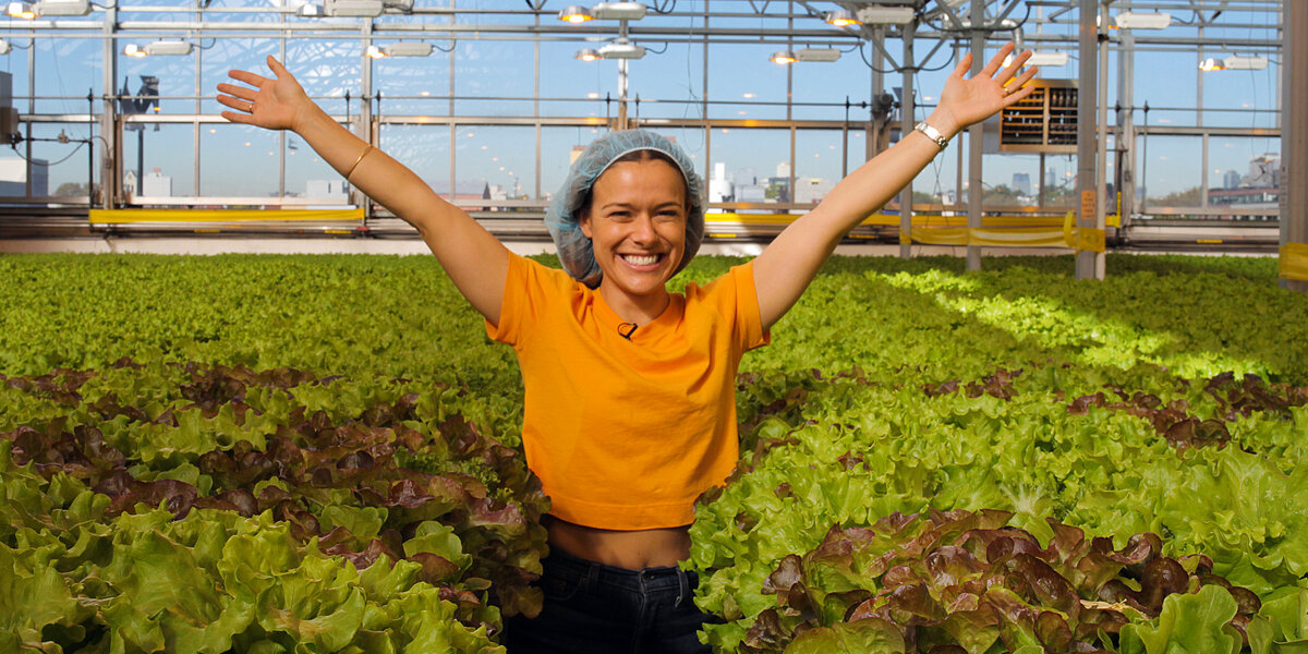 NYC indoor farming startup Gotham Greens raises $310 million