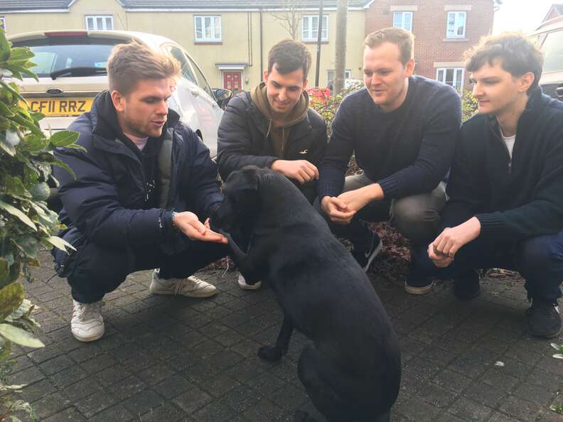 Stevie the dog meets the boys from number 23