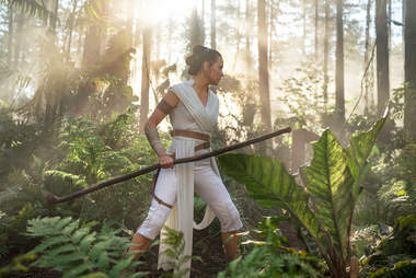 star wars rise of skywalker