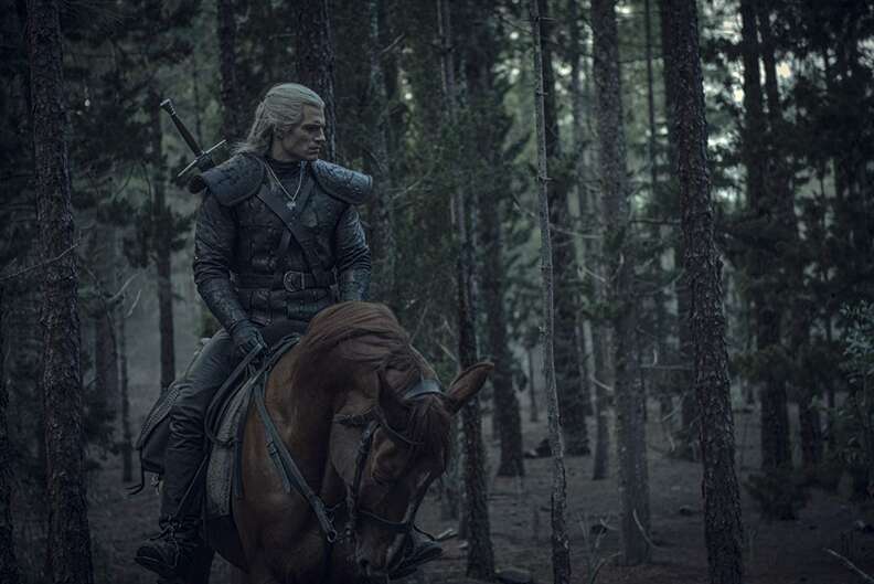 the witcher