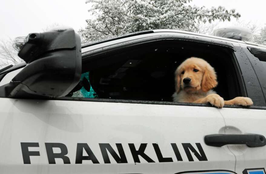 Therapy dog Ben Franklin with the Franklin Police Department