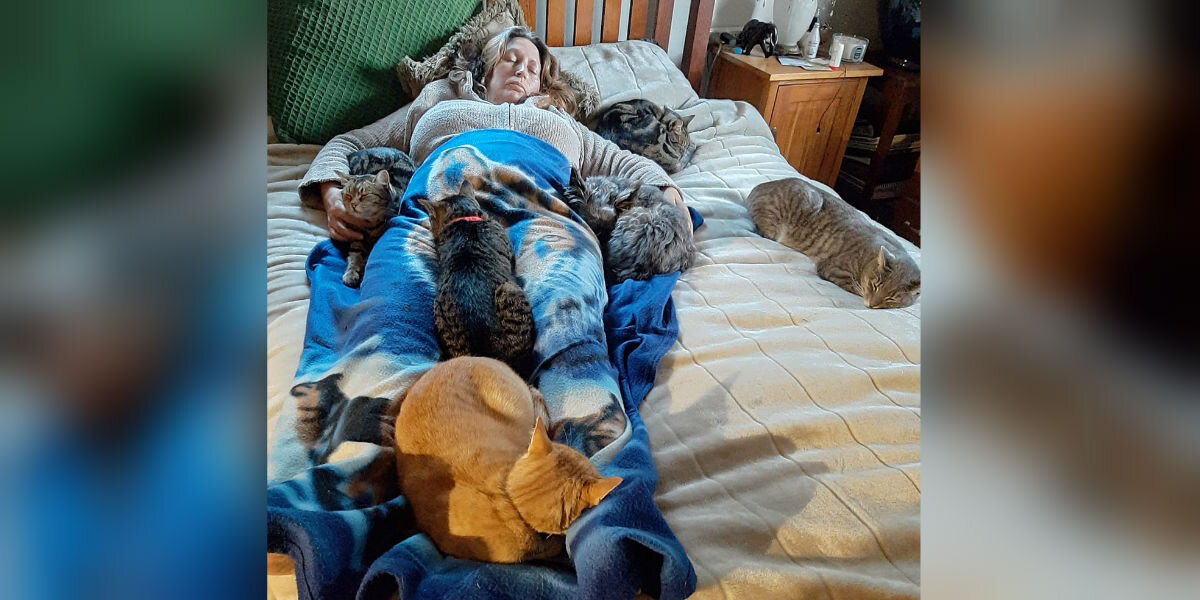 Cats Cuddle With Mom To Help Her Feel Better After Surgery