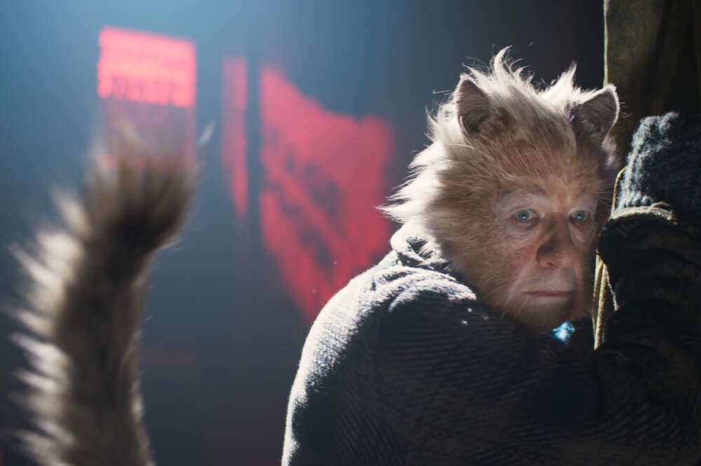 Cats Movie Cast & Character Guide: What The Actors Look Like In CGI