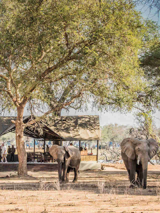 Chiawa Safaris