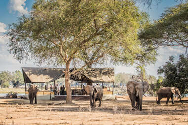 Chiawa Safaris in Zambia