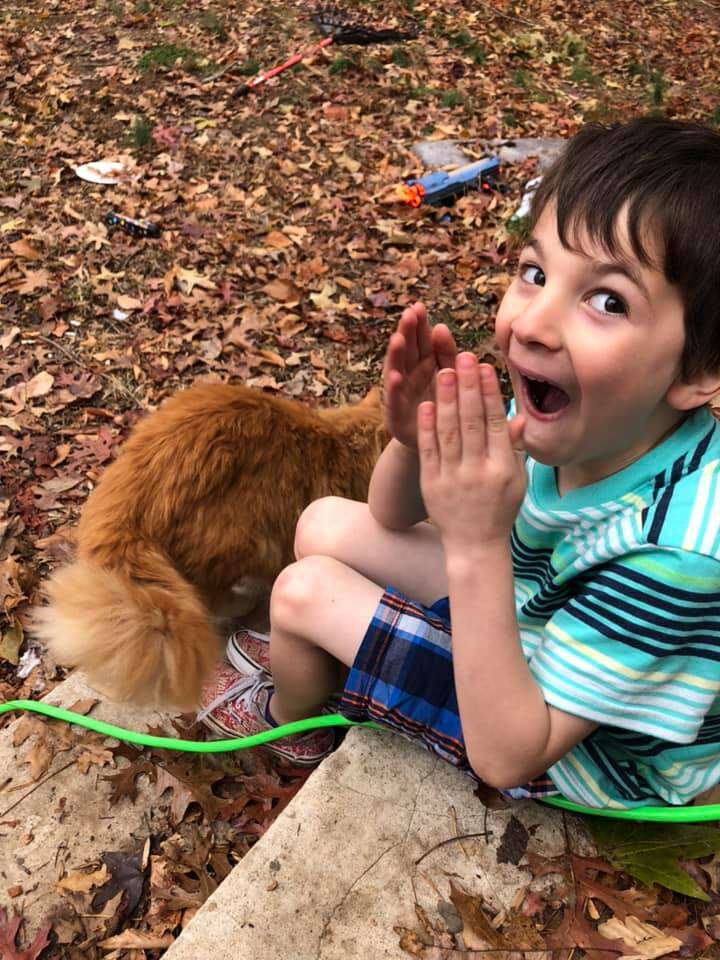 little boy and cat