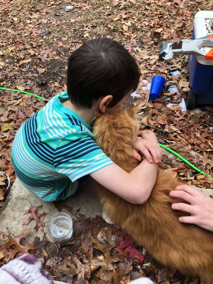 little boy and cat