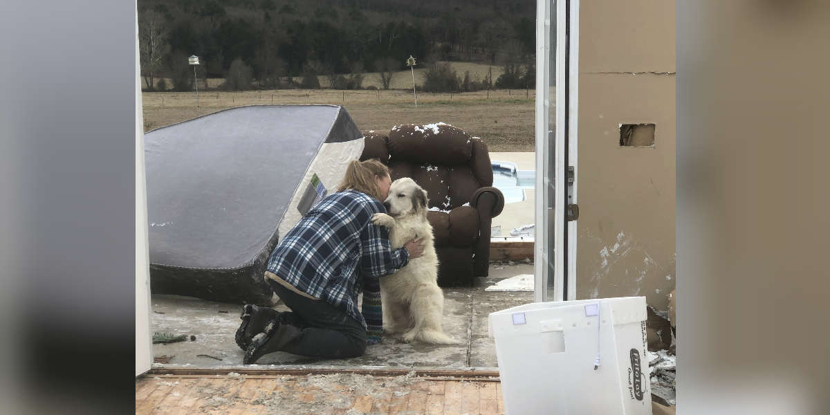 Family Reunites With Dog After Tornado Destroys Home - The Dodo