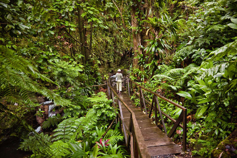 Jacko Steps, Dominica