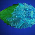 Artificial Leaf Technology Could One Day Power Our World