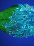 Artificial Leaf Technology Could One Day Power Our World