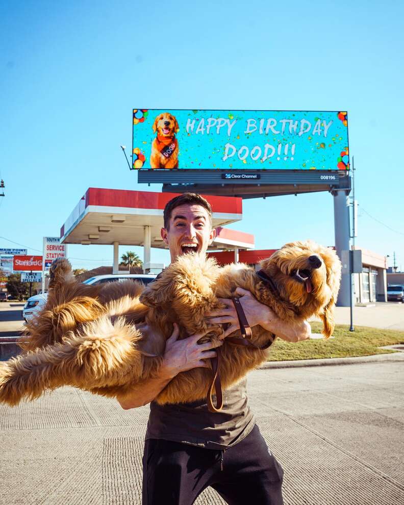Dog gets a billboard for his first birthday