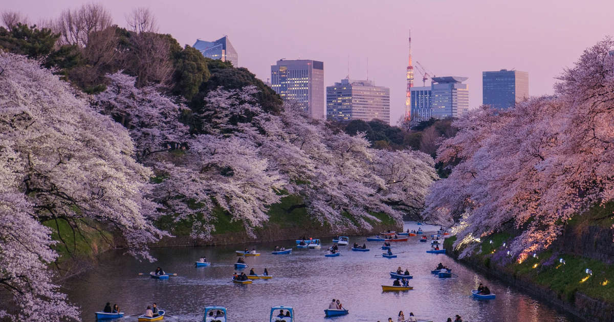 Tokyo Vacation Planner: 10-Day Trip Itinerary & Travel Guide - Thrillist
