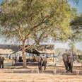 Chiawa Safaris in Zambia