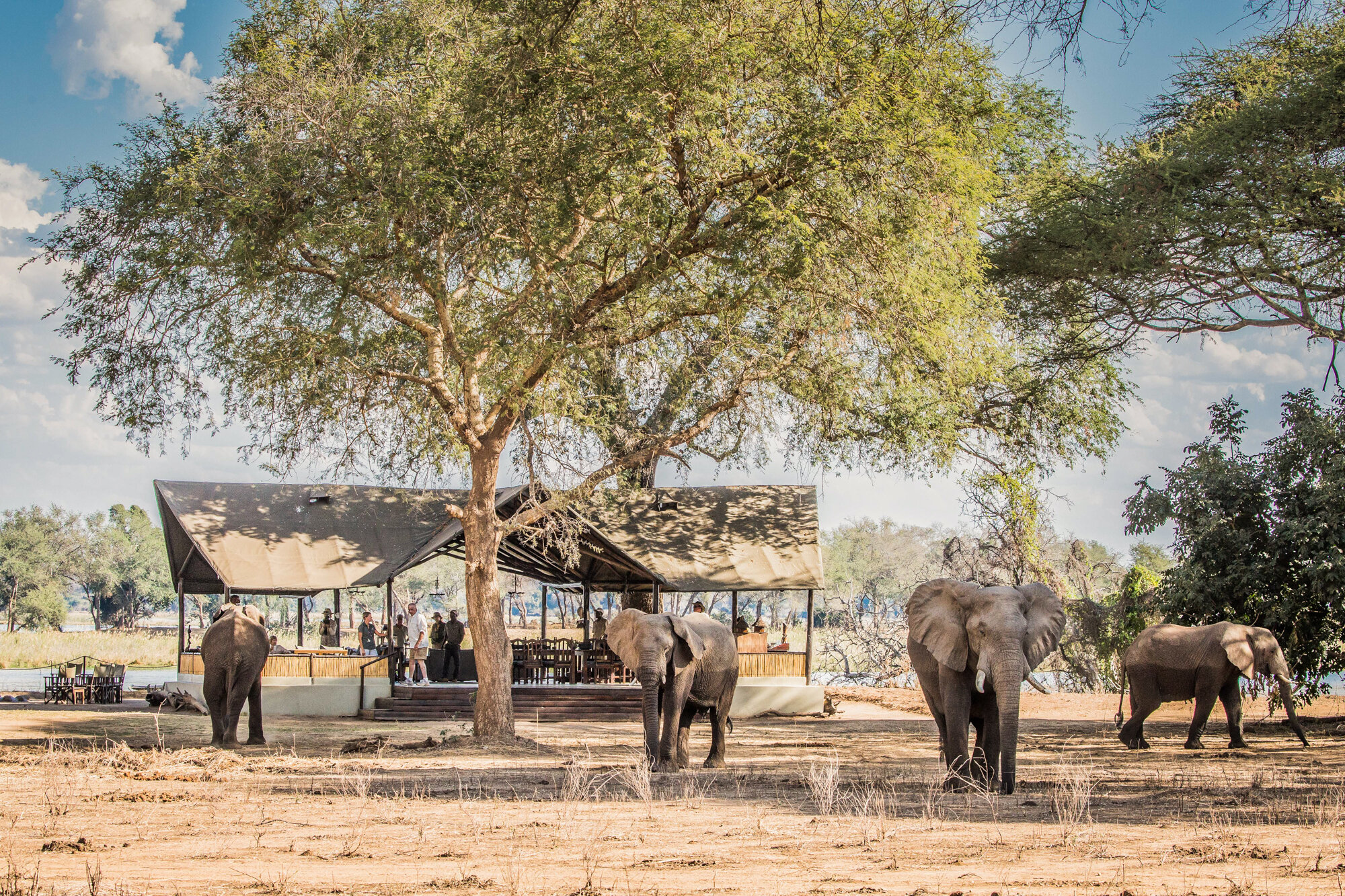 How to Take an Ethical, Eco-Minded Safari Trip in Zambia