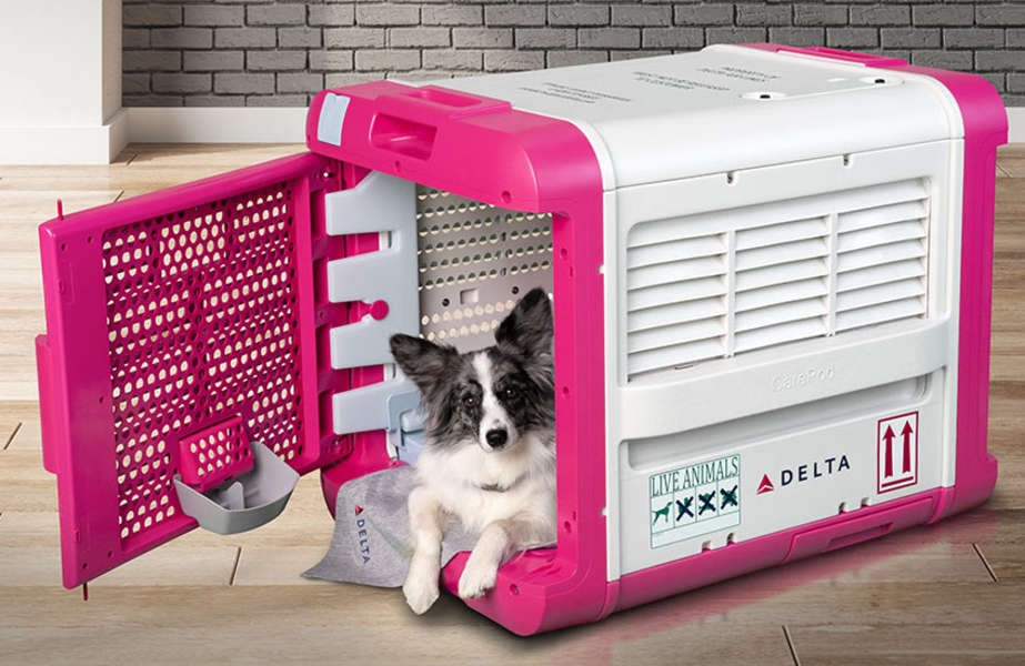 Delta CarePod What Do the New Cargo Pet Carriers Look Like? Thrillist