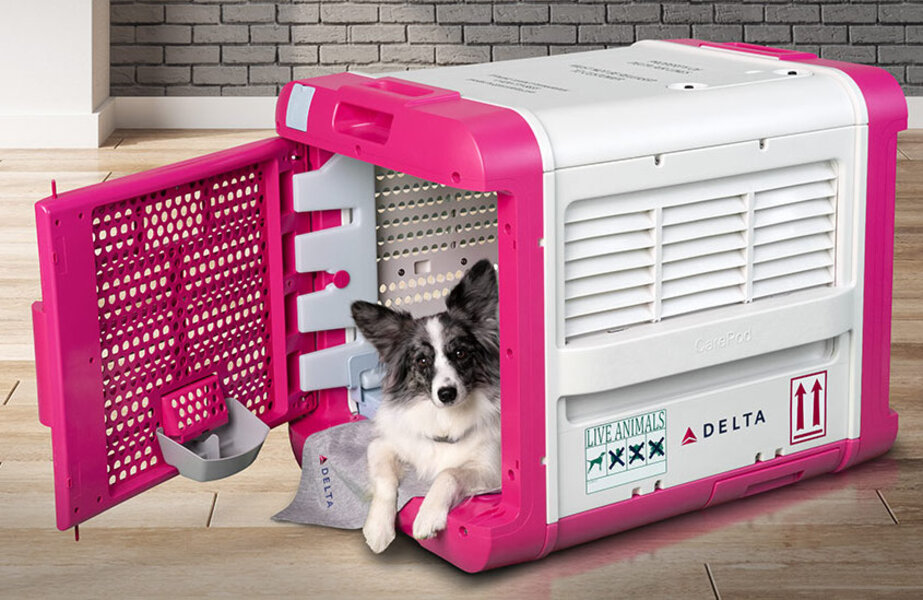 Delta CarePod What Do the New Cargo Pet Carriers Look Like