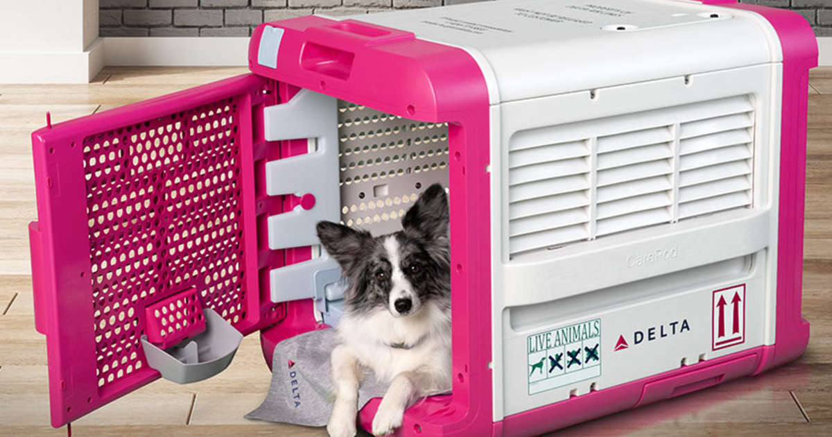 air conditioned pet carrier