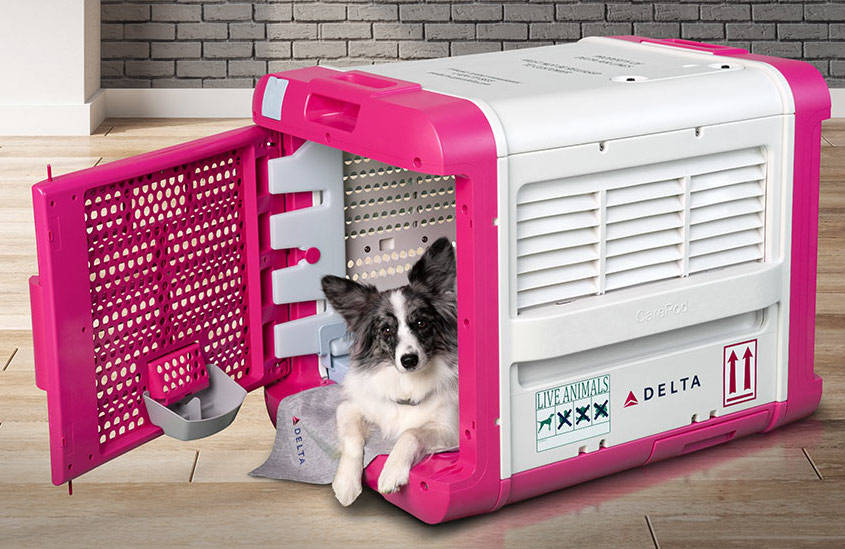 Delta pet outlet carrier measurements