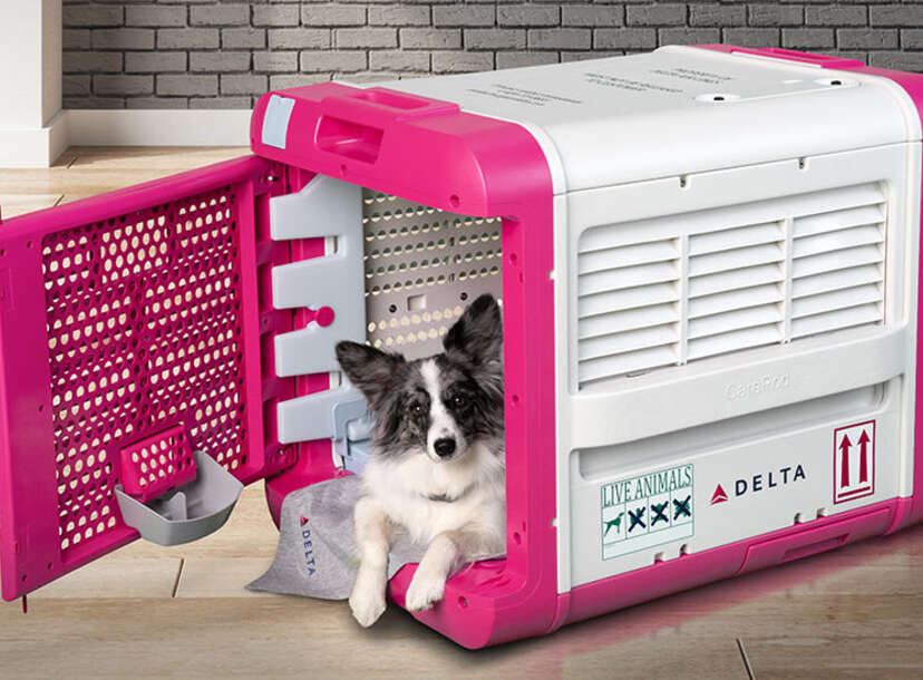 Delta CarePod What Do the New Cargo Pet Carriers Look Like