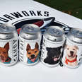 Florida Brewing Company Puts Shelter Dogs on Beer Cans
