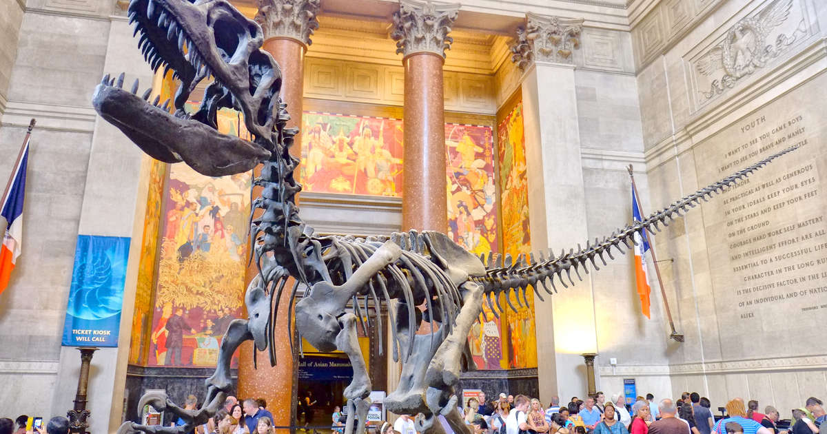 Best Museums In Nyc That Are Actually Worth Visiting Thrillist