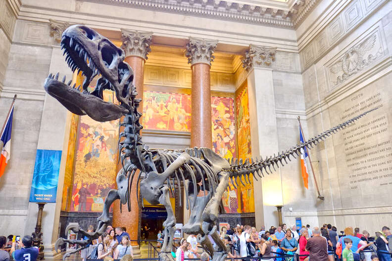 American Museum of Natural History