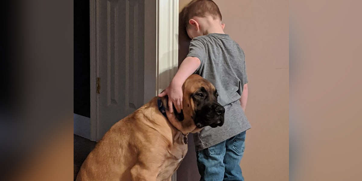 Dog Puts Himself In Time-Out Too So Boy Doesn't Have To Do It Alone