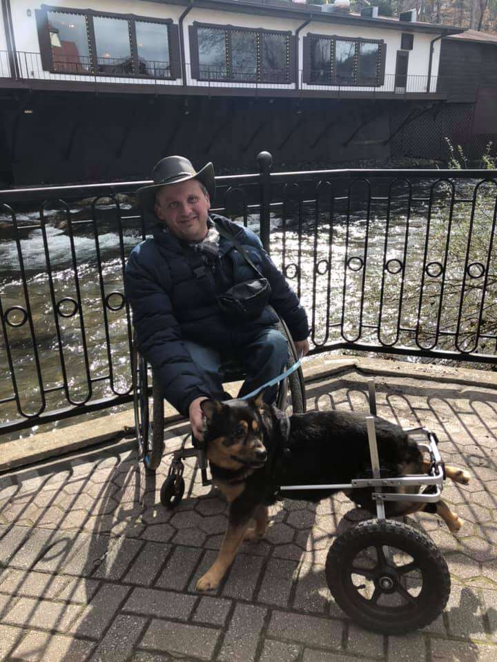 wheelchair dog