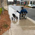 wheelchair dog