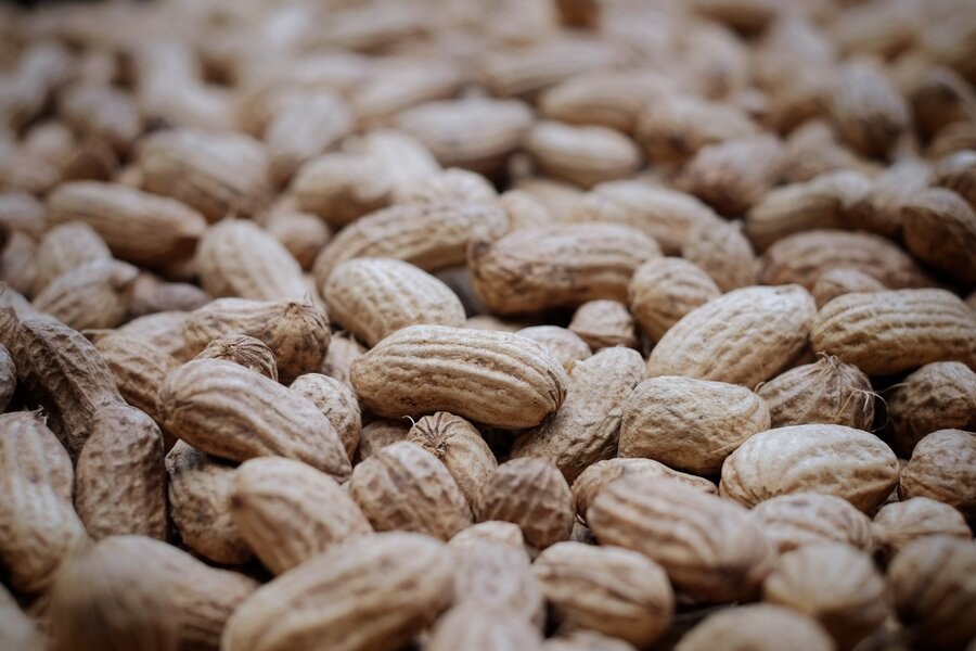 FDA Peanut Allergy: New Peanut Allergy Treatment Will Roll Out Soon ...