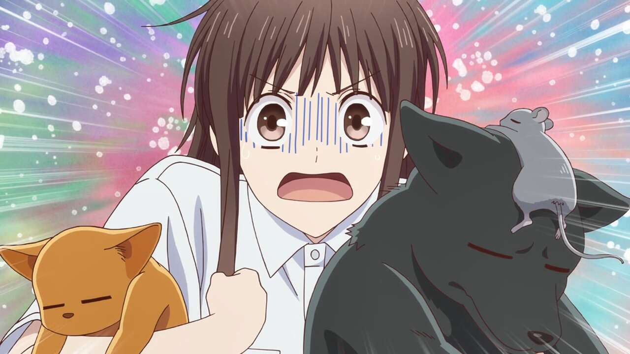 fruits basket