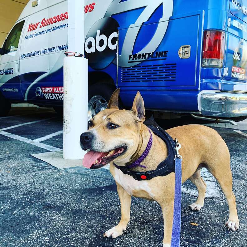 Day Day aka Hazel the dog finds her mom after being on a beer can