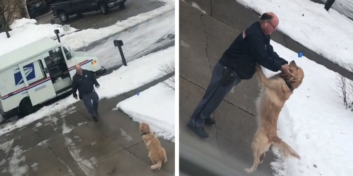 Dog Waits Every Day To Get A Hug From His Favorite Mailman