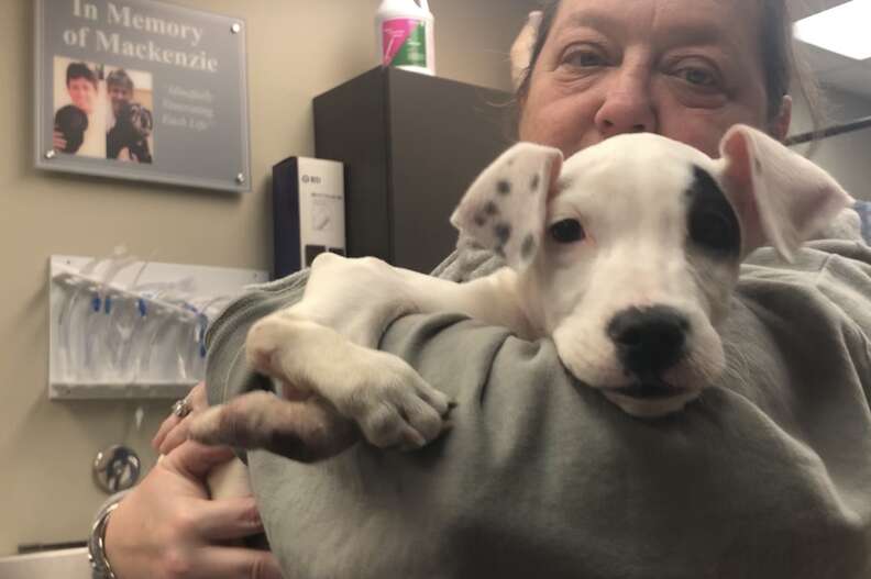 puppy with 5 paws