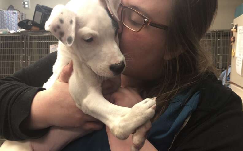 puppy with 5 paws