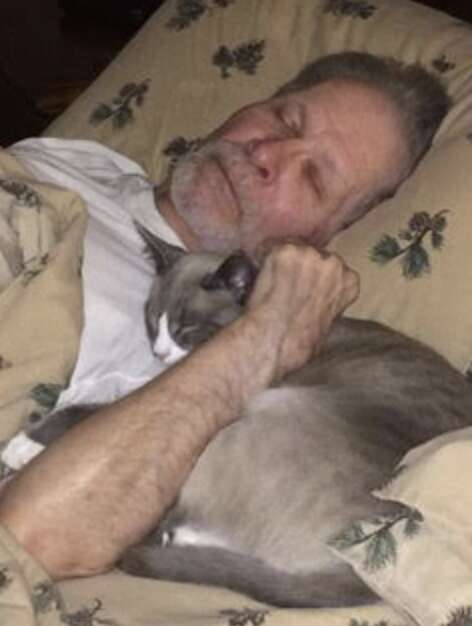 cat comforts dad