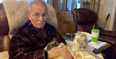 cat comforts dad