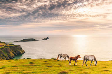 Rhossili Bay