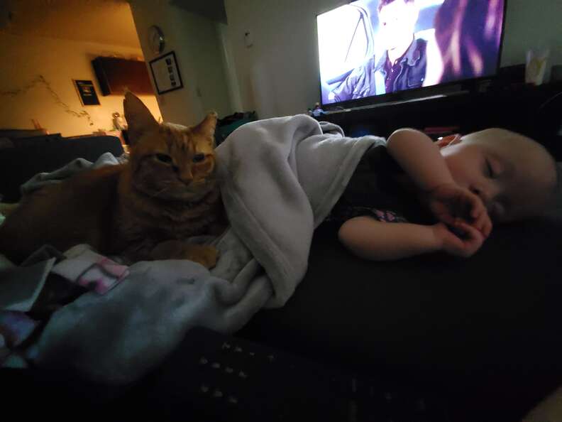 cat naps with baby