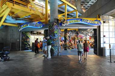 Audubon Nature Institute