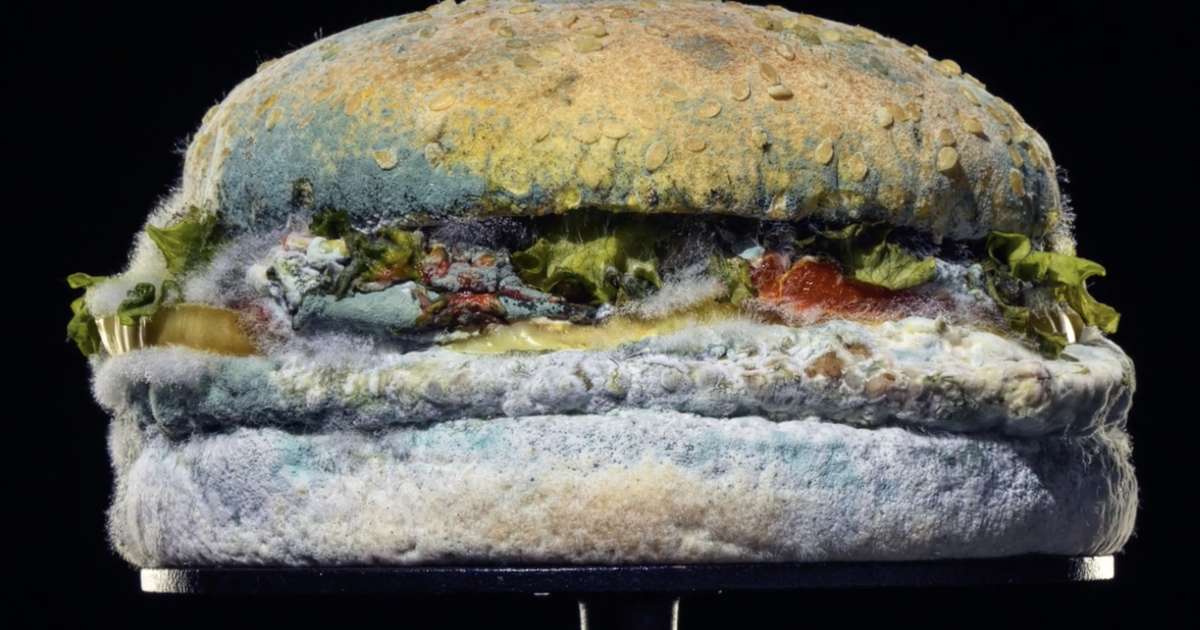 Burger King Moldy Whopper: New Ad Campaign Promotes ...