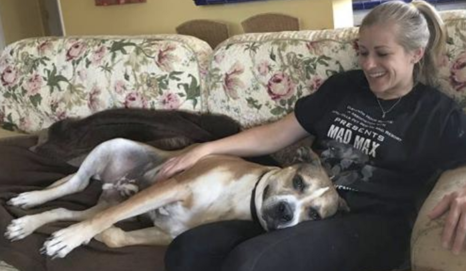 Dog Has Been At Shelter For 9 Years - The Dodo