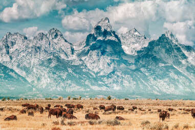 Grand Teton National Park, Wyoming