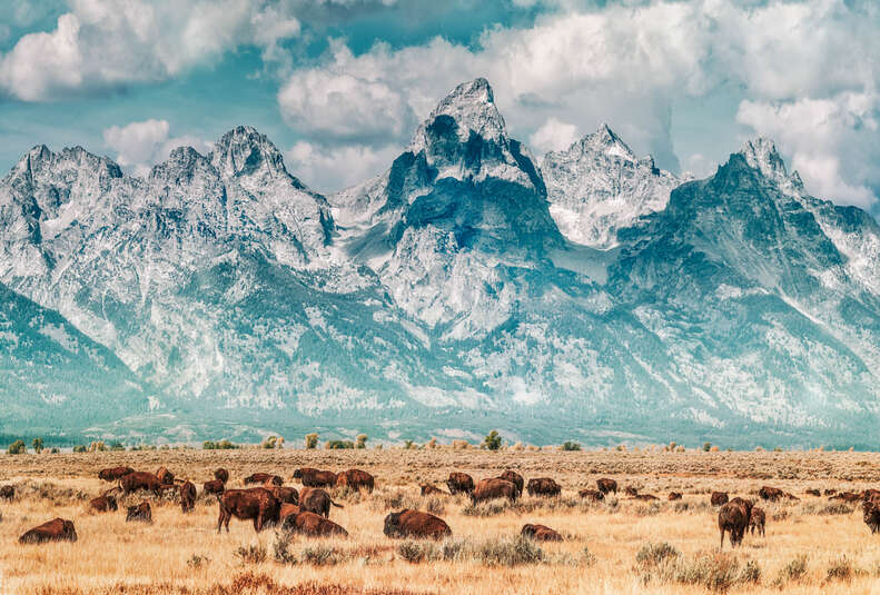 Grand Teton National Park, Wyoming