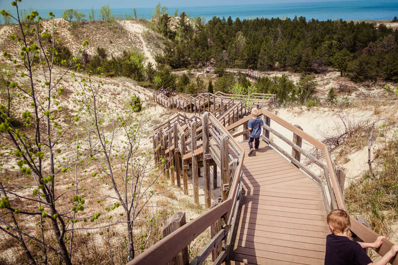 people walking down stairs into a forest near a lakeshore